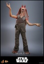 Jar Jar Binks "Star Wars: Episode I The Phantom Menace" HOT TOYS - PREVENTA