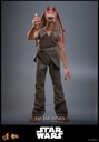 Jar Jar Binks "Star Wars: Episode I The Phantom Menace" HOT TOYS - PREVENTA