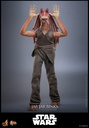 Jar Jar Binks "Star Wars: Episode I The Phantom Menace" HOT TOYS - PREVENTA