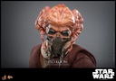 Plo Koon "Star Wars: The Clone Wars Animated Series" - HOT TOYS - PREVENTA 