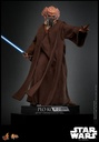 Plo Koon "Star Wars: The Clone Wars Animated Series" - HOT TOYS - PREVENTA 