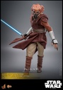 Plo Koon "Star Wars: The Clone Wars Animated Series" - HOT TOYS - PREVENTA 