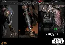 Star Wars DX44 Darth Vader (Battle Damaged) HOT TOYS - PREVENTA