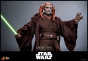 Saesee Tiin "Star Wars Episode III: Revenge of the Sith" HOT TOYS - PREVENTA