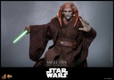 Saesee Tiin "Star Wars Episode III: Revenge of the Sith" HOT TOYS - PREVENTA