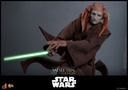 Saesee Tiin "Star Wars Episode III: Revenge of the Sith" HOT TOYS - PREVENTA