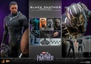 Black Panther (Original Suit) "Marvel Studios" HOT TOYS