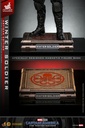 The Winter Soldier EXCLUSIVE "Captain America: The Winter Soldier" (ARTISAN SPECIAL EDITION) - HOT TOYS - PREVENTA 