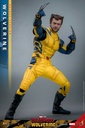 Wolverine (Deluxe Version) – Deadpool & Wolverine – HOT TOYS - PREVENTA