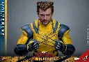 Wolverine (Deluxe Version) – Deadpool & Wolverine – HOT TOYS - PREVENTA