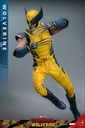 Wolverine  – Deadpool & Wolverine – HOT TOYS - PREVENTA