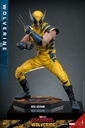 Wolverine  – Deadpool & Wolverine – HOT TOYS - PREVENTA