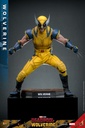 Wolverine  – Deadpool & Wolverine – HOT TOYS - PREVENTA
