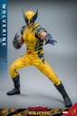 Wolverine  – Deadpool & Wolverine – HOT TOYS - PREVENTA