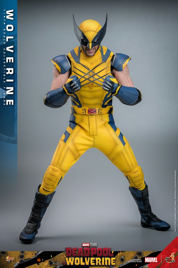 Wolverine  – Deadpool & Wolverine – HOT TOYS - PREVENTA