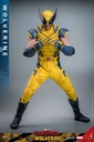 Wolverine  – Deadpool & Wolverine – HOT TOYS - PREVENTA