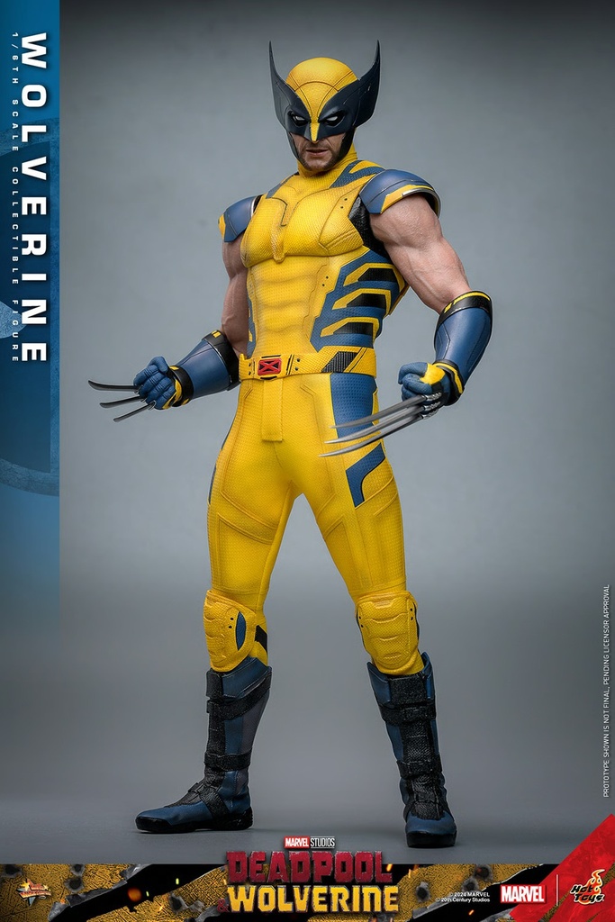 Wolverine  – Deadpool & Wolverine – HOT TOYS - PREVENTA