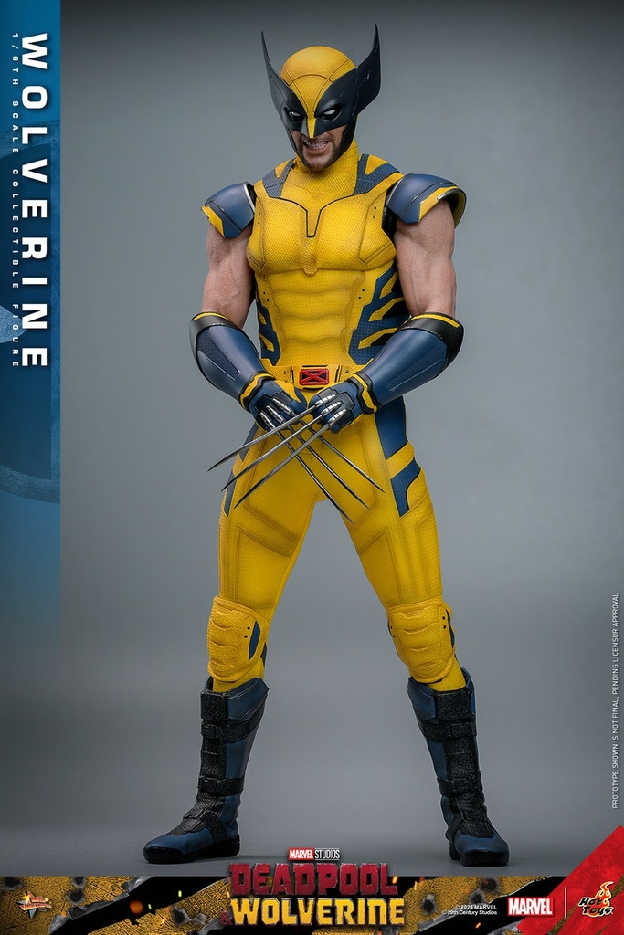 Wolverine  – Deadpool & Wolverine – HOT TOYS - PREVENTA