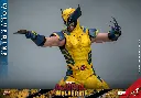 Wolverine  – Deadpool & Wolverine – HOT TOYS - PREVENTA