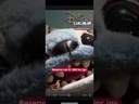 Stitch "Lilo & Stitch live-action movie" HOT TOYS - PREVENTA