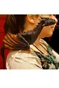 Drogon Prop Game of Thrones - TRICK OR TREAT STUDIOS