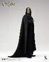 Severus Snape 1/6 "Harry Potter and the Half-Blood Prince" INART - PREVENTA