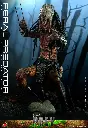 Feral Predator: Prey (2022) – Hot Toys – PREVENTA