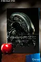 Book Capturing Archetypes by Sideshow Collectibles