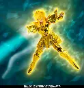 Acuario Hyoga (Inheritor of the Gold Cloth Ver.) Saint Seiya – Myth Cloth EX – PREMIUM BANDAI – PREVENTA