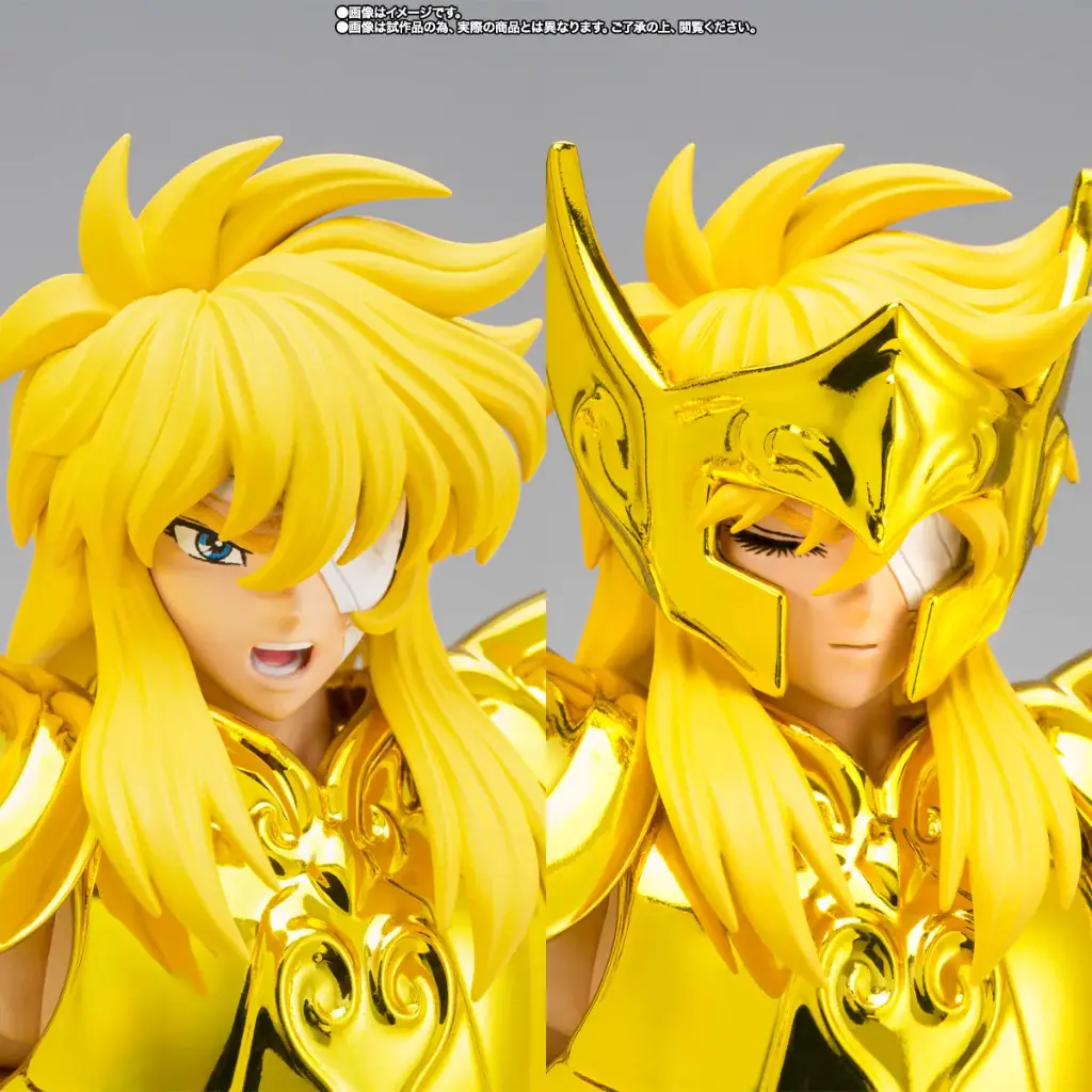 Acuario Hyoga (Inheritor of the Gold Cloth Ver.) Saint Seiya – Myth Cloth EX – PREMIUM BANDAI – PREVENTA