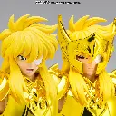 Acuario Hyoga (Inheritor of the Gold Cloth Ver.) Saint Seiya – Myth Cloth EX – PREMIUM BANDAI – PREVENTA