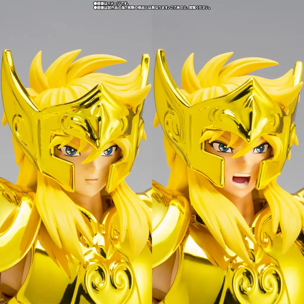 Acuario Hyoga (Inheritor of the Gold Cloth Ver.) Saint Seiya – Myth Cloth EX – PREMIUM BANDAI – PREVENTA