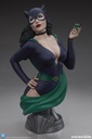 Catwoman 1:3 Scale Bust "DC Collectible" TWEETERHEAD – PREVENTA