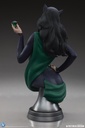 Catwoman 1:3 Scale Bust "DC Collectible" TWEETERHEAD – PREVENTA