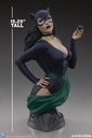 Catwoman 1:3 Scale Bust "DC Collectible" TWEETERHEAD – PREVENTA