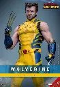 Wolverine (Deluxe Version) – Deadpool & Wolverine – HOT TOYS - PREVENTA