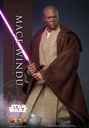 Mace Windu EPII - HOT TOYS - PREVENTA