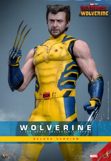 [4895228618344] Wolverine (Deluxe Version) – Deadpool & Wolverine – HOT TOYS - PREVENTA